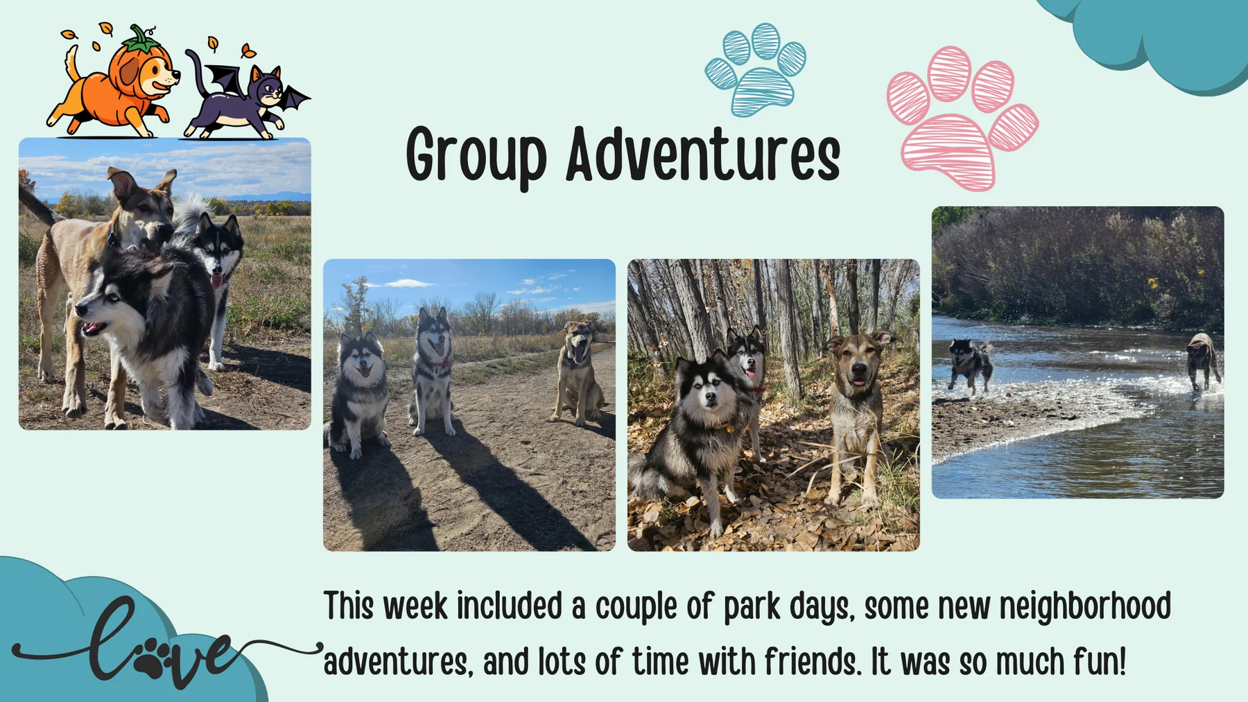 A group adventure report card page with several pet photos