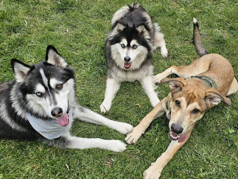 Sawyer, Mila, and Landy enjoying time together