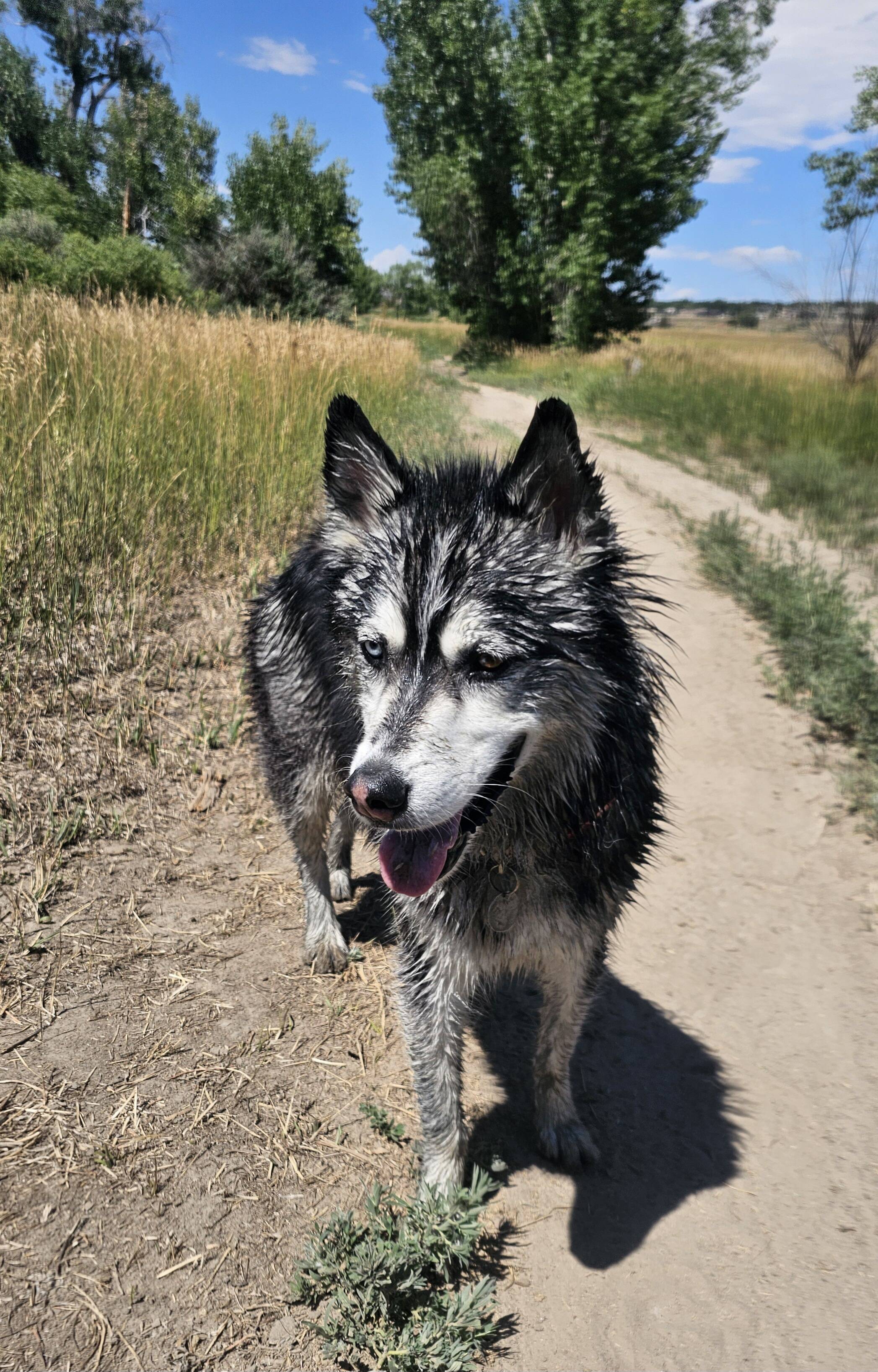 Sawyer enjoying an outdoor adventure