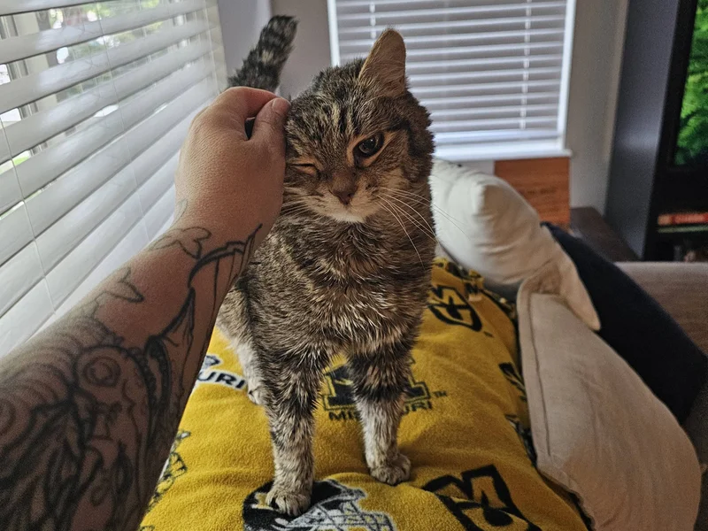 Millie enjoying some loving attention