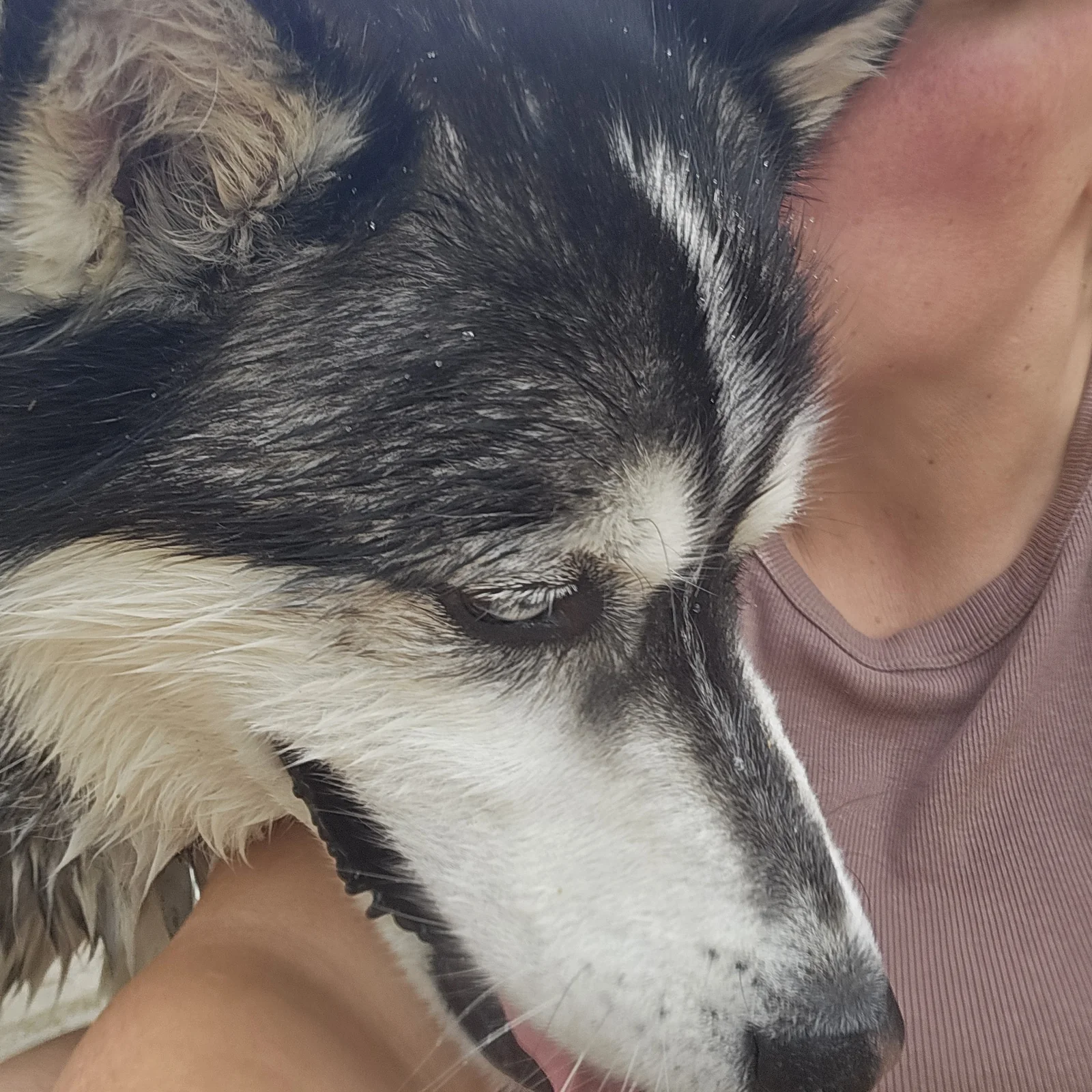 A relaxed pet cuddling with Alicia during an overnight stay